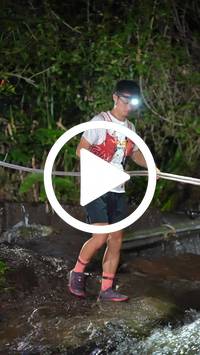 BIB:  <button type="button" onclick="openModal(27711968)" class="btn btn-primary btn-sm float-right" data-toggle="modal" data-target=".modal-high-quality">
                <i class="fa fa-download"></i> Download
                </button>